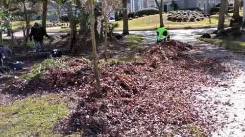 Fall Clean Seminole County FL