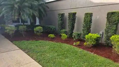 Hedge Trimming Seminole County FL