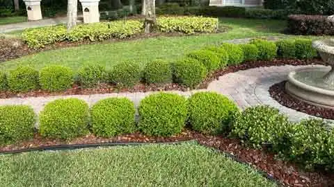 Landscape Installation Seminole County FL