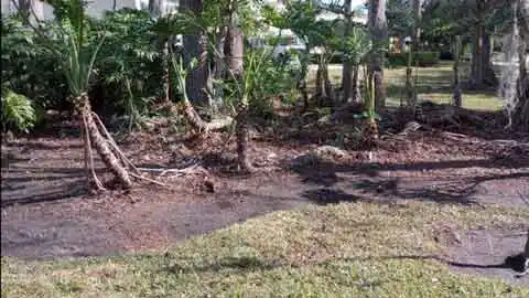 Spring Cleanup Seminole County FL